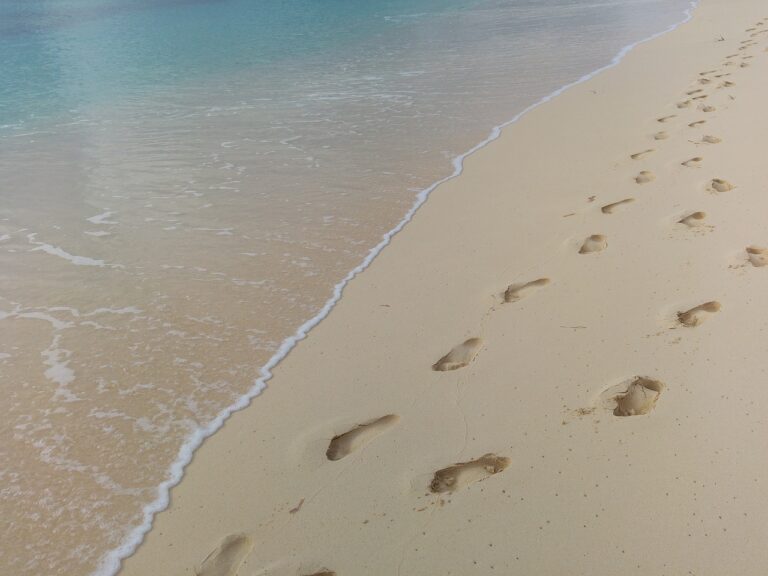 footprints, beach, water-1145883.jpg
